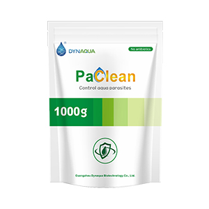 403-PaClean