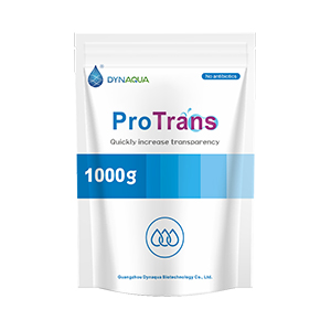 106-ProTrans