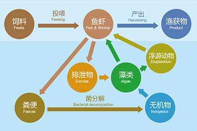 Key points of technical design of Nutrition & Farm care high-efficiency mode